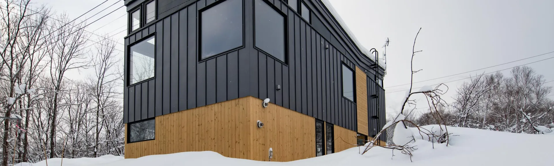 mountainbutterfly-2280px-4