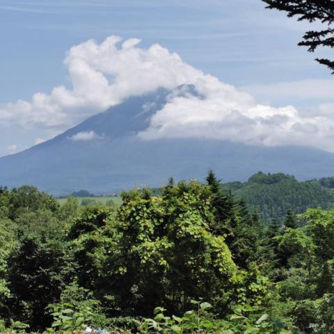 371174810_6805610532865616_5378217263484483289_n