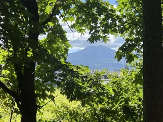 c4dc7750-c7b9-4c45-ab08-65aa0d7eb929